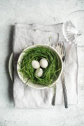 Top view of a simple yet elegant Easter table setting featuring a bowl with a nest of fresh green grass and three speckled eggs. A pair of vintage forks completes the serene tableau, styled on a soft linen napkin against a textured light background. Model Released AnnaBogush_ID26004_750199_021 Copyright: xAnnaxBogushx RECORD DATE NOT STATED