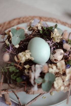 A close-up view of a detailed Easter nest containing naturally dyed eggs amidst a variety of flowers and plants, elegantly arranged on a serene tabletop. Model Released CamilaMacedo_ID26016_750690_004 Copyright: xCamilaxMacedox RECORD DATE NOT STATED