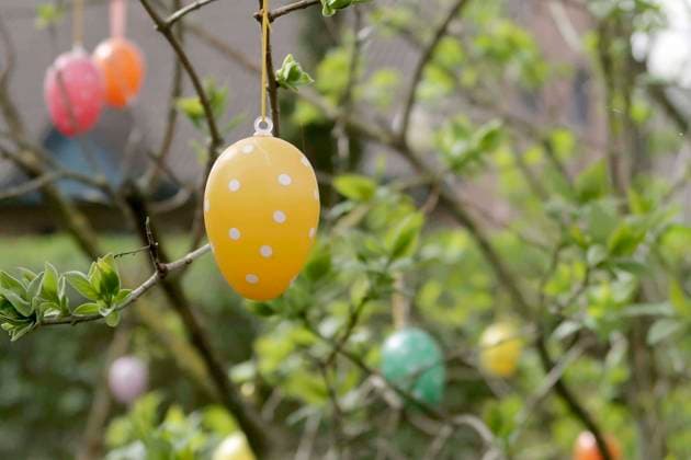 bunte Ostereier am einem Strauch zu Ostern in Berlin, Berlin Deutschland, Germany *** Bunte Easter eggs on a Bush to Easter in Berlin, Berlin Germany, Germany