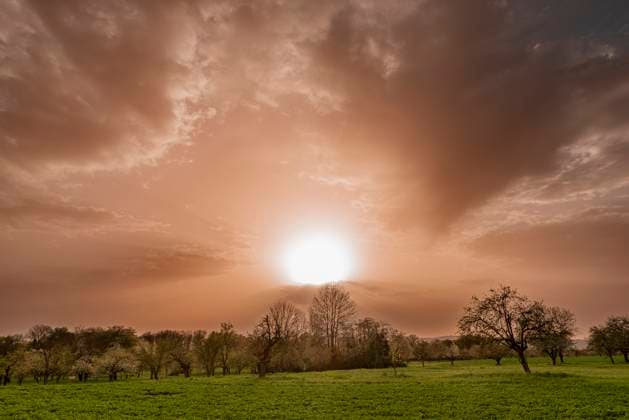 Auf- oder untergehende Sonne mit von Saharastaub orange bis rötlich gefärbtem milchig-trübem Himmel mit Wolken über landwirtschaftlich genutzter Fläche und Bäumen Auf- oder untergehende Sonne mit von Saharastaub orange bis rötlich gefärbtem milchig-trübem Himmel mit Wolken über landwirtschaftlich genutzter Fläche und Bäumen Copyright: xZoonar.com FrankxWagnerx 22691712