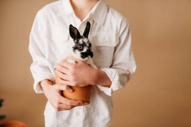 boy holding bunny with white shirt Beaver, West Virginia, United States CR_ZVBJ250124-1630668-01