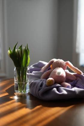 Stuffed Pink Bunny Toy next to Fresh White Tulips New York, New York, United States R_UTHC250124-1634951-01
