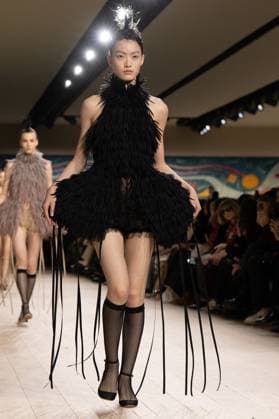 PFW - Christian Dior Runway A model walks the runway during the Christian Dior show during Paris Fashion Week Haute Couture Spring-Summer 2025 on January 27, 2025 in Paris, France. Photo by ABACAPRESS.COM Paris France  Copyright: xABACAx