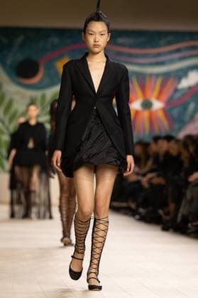 PFW - Christian Dior Runway A model walks the runway during the Christian Dior show during Paris Fashion Week Haute Couture Spring-Summer 2025 on January 27, 2025 in Paris, France. Photo by Laurent Zabulon ABACAPRESS.COM Paris France  Copyright: xZabulonxLaurent ABACAx