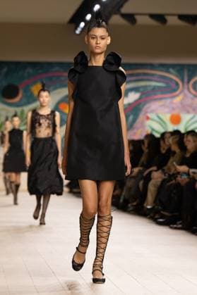 PFW - Christian Dior Runway A model walks the runway during the Christian Dior show during Paris Fashion Week Haute Couture Spring-Summer 2025 on January 27, 2025 in Paris, France. Photo by Laurent Zabulon ABACAPRESS.COM Paris France  Copyright: xZabulonxLaurent ABACAx