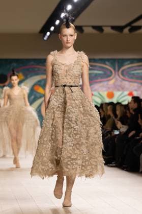 PFW - Christian Dior Runway A model walks the runway during the Christian Dior show during Paris Fashion Week Haute Couture Spring-Summer 2025 on January 27, 2025 in Paris, France. Photo by Laurent Zabulon ABACAPRESS.COM Paris France  Copyright: xZabulonxLaurent ABACAx