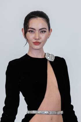 PFW - Stephane Rolland HC - Photocall NB Davika Hoorne attends the Schiaparelli Haute Couture Spring-Summer 2025 show as part of Paris Fashion Week on January 28 2025 in Paris, France. Photo by Nasser Berzane ABACAPRESS.COM Paris France  Copyright: xBerzanexNasser ABACAx