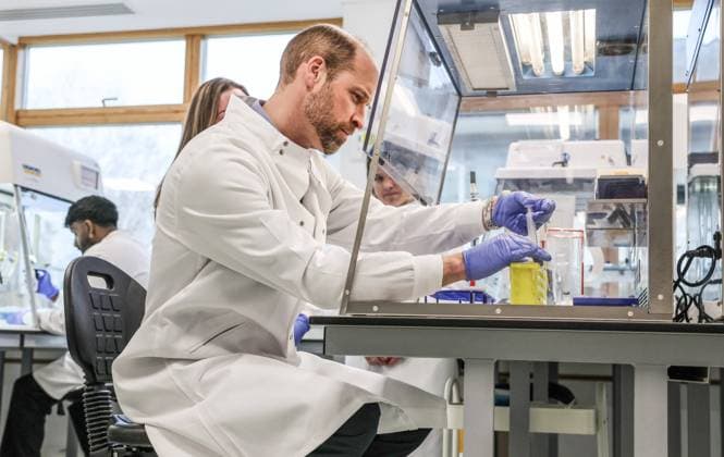 Entertainment Themen der Woche KW05 Entertainment Bilder des Tages . 29 01 2025. Guildford, United Kingdom. Prince William during a visit to the 2024 Earthshot Prize Finalist, NatureMetrics, in Guildford, United Kingdom .  xPoolx xi-Imagesx IIM-25696-0012