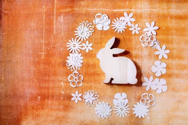 Osterhase mit Papierblumen drum herum Easter bunny rabbit with different paper flowers around over orange stone background. Flat lay, copy space. Easter holiday greeting card concept Copyright: xZoonar.com NATASHAxBREENx 22727409