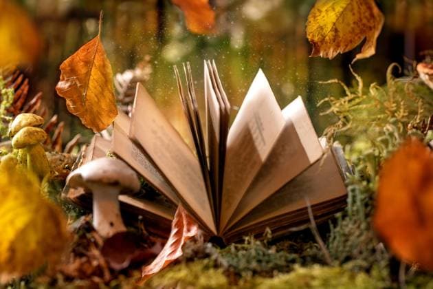 Fairy tale Ambiente magischen Herbst Wald Hintergrund Fairy tale ambiance magical autumn forest background. Opened old magic book with flying autumn leaves, lay on moss with wild mushrooms. Reading fairy tales and spells. Copyright: xZoonar.com NATASHAxBREENx 22744159
