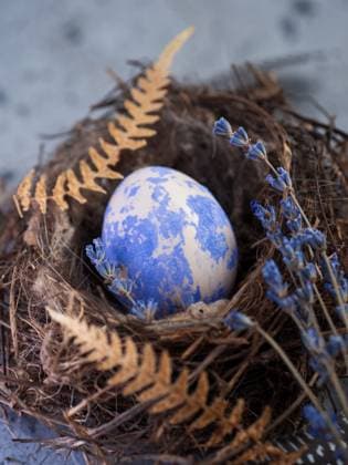 Ostern gemalt blaues Ei im Nest Postkarte Ostern gemalt blaues Ei im Nest Postkarte Copyright: xZoonar.com PavelxMarysx 22732890