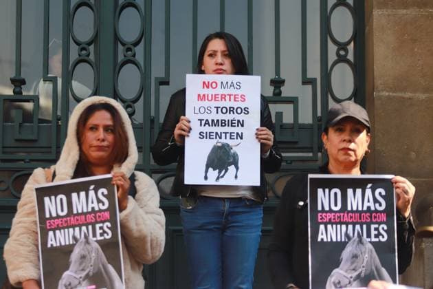 Animal rights activists protest against the decision of the Secretary of Culture to include bullfighting to be considered cultural heritage outside the local Congress. on February 5, 2025 in Mexico City, Mexico. Mexico City Mexico - ZUMAe321 20250205_zia_e321_010 Copyright: xCarlosxSantiagox