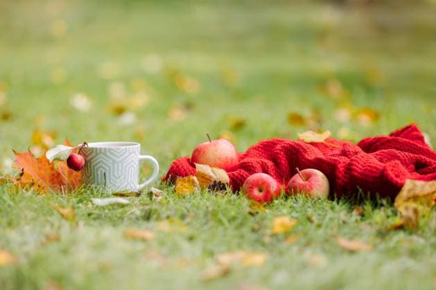 Herbst Zusammensetzung auf Licht Natur Hintergrund. Offenes Buch, Tasse heißer Tee und kuscheligen Pullover auf Herbst Gras mit Blättern im Park. Autumn composition on light nature background. Open book, cup of hot tea and cozy sweater on autumn grass with leaves in park. High quality photo Copyright: xZoonar.com LARISAxSHPINEVAx 22752289