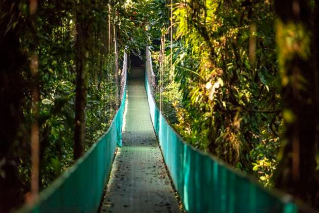 Hanging bridge at natural rainforest park suspended bridge at natural rainforest park, Costa Rica Costa Rica Copyright: xSergixReboredox xVWPicsx SRE-EA0422