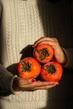 A woman hands gently cradle three ripe persimmons against a textured, cozy sweater background. The warm colors contrast beautifully with the fabric, exuding autumn vibes. Model Released JulianneMedeiros_ID26319_759231_009 Copyright: xJuliannexMedeirosx