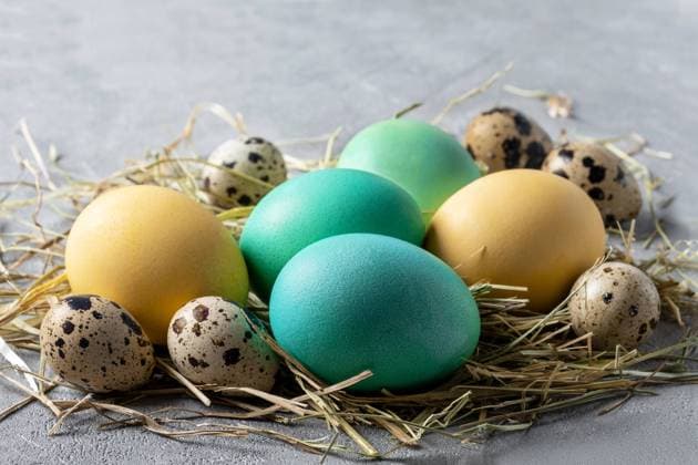 Easter composition of a stylized bird s nest with quail and dyed yellow and turquoise chicken eggs. Selective focus. , 49970098.jpg, egg, easter, nest, chicken, quail, protein, festive, coloring, decorate, spring, still life, holiday, handmade, concept, style, celebration, group, design, colourful, symbol, cholesterol, traditional, decorative, greeting, tradition, hen, decor, quail egg, religious, small, fragility, motley, easter egg, rural, hay, springtime, turquoise, orthodoxy, selective focus, copy space, hand-made, paint, yellow, color, simplicity, homemade, group of objects, nobody, straw RECORD DATE NOT STATED