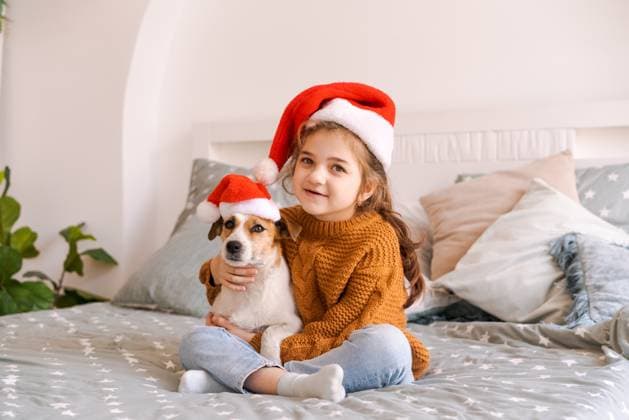Frohe Weihnachten und ein gutes neues Jahr. Bezauberndes kleines Mädchen trägt Weihnachtsmann Merry Christmas and Happy New Year. Adorable little girl wearing santa claus hat with jack russell dog waiting for new year at home smiling while sitting on bed in bedroom at home ,model released, Symbolfoto Copyright: xZoonar.com EkaterinaxPereslavtsevax 22775181 ,model released, Symbolfoto ,property released