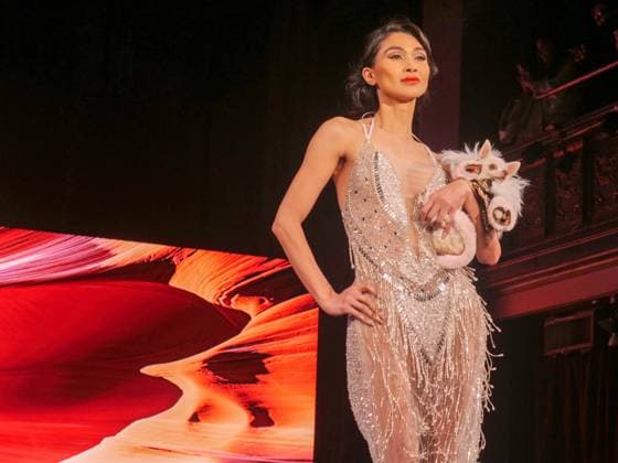 February 8, 2025, New York, New York, USA: Glamorous dogs, models and a cat ruled the runway.at the February NYFW Anthony Rubio show. Powered.by Art Hearts Fashion four legged and two legged models.wowed the capacity crowd in the Angel Orensanz venue. New York USA - ZUMAh156 20250208_znp_h156_003 Copyright: xMiloxHessx
