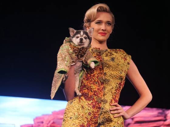 February 8, 2025, New York, New York, USA: Glamorous dogs, models and a cat ruled the runway.at the February NYFW Anthony Rubio show. Powered.by Art Hearts Fashion four legged and two legged models.wowed the capacity crowd in the Angel Orensanz venue. New York USA - ZUMAh156 20250208_znp_h156_001 Copyright: xMiloxHessx