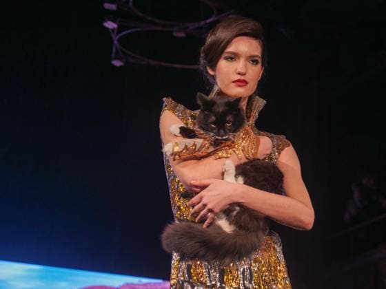 February 8, 2025, New York, New York, USA: Glamorous dogs, models and a cat ruled the runway.at the February NYFW Anthony Rubio show. Powered.by Art Hearts Fashion four legged and two legged models.wowed the capacity crowd in the Angel Orensanz venue. New York USA - ZUMAh156 20250208_znp_h156_006 Copyright: xMiloxHessx