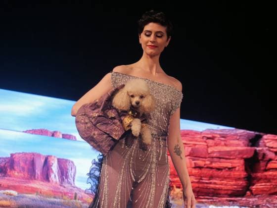 February 8, 2025, New York, New York, USA: Glamorous dogs, models and a cat ruled the runway.at the February NYFW Anthony Rubio show. Powered.by Art Hearts Fashion four legged and two legged models.wowed the capacity crowd in the Angel Orensanz venue. New York USA - ZUMAh156 20250208_znp_h156_007 Copyright: xMiloxHessx