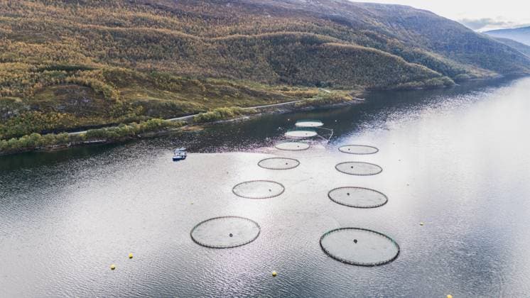 Drone View of Salmon Farming Facility in a Norwegian Fjord A drone view of a salmon farming facility in a fjord in Norway on September 22, 2024. Norway is one of the world™s leading producers of Atlantic salmon, with fish farms like this playing a key role in the country™s seafood industry. Straumen Nordland Norway  Copyright: xManuelxRomanox originalFilename: romano-dronevie240922_npeWX.jpg
