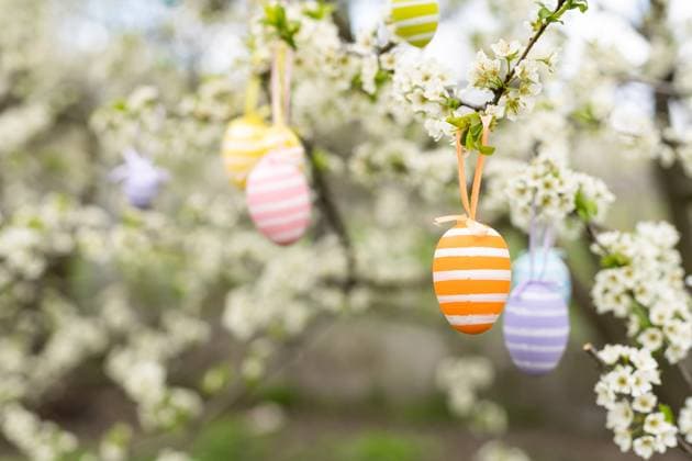 Easter decorative composition with painted eggs, flowering branches , 50351160.jpg, flower, background, design, frame, food, nature, art, spring, traditional, tradition, decorative, seasonal, decoration, festive, colorful, egg, holiday, celebration, easter, painted, symbols, flowering branches, delicious, coloring, painted eggs, blooming, symbol, catholic, orthodox, yellow, nest, green, cooking, mock up, springtime, gray, april, flat lay, happy, online shopping, concept, flowers, top view, composition, bright, above, trendy color, hunt, decorated, natural RECORD DATE NOT STATED