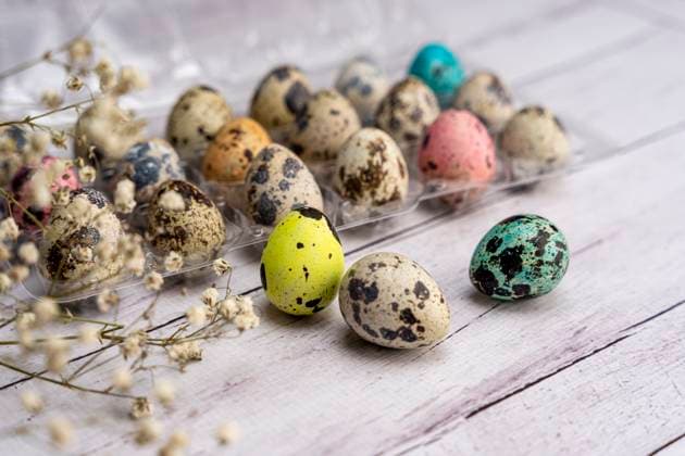 easter eggs and a branch of gypsophila on a light background. Easter greeting card. space for copying. close-up of quail eggs. , 50391298.jpg, easter, easter egg, colourful, group, event, greeting, tradition, copy space, gift, springtime, festive, rustic, painted, plank, pastel, decorate, decorating, dyed, art, greeting card, template, copy-space, eco, invitation, layout, minimal, stylish, rural, scenic, celebration, decoration, holiday, background, design, spring, traditional, beautiful, egg, happy, decorative, food, wooden, banner, flower, gypsophila, symbol, card, eggs, small, cute RECORD DATE NOT STATED