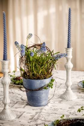 Spring composition in blue tones, muscari in blue pot and with blue candles. High quality photo , 50436666.jpg, background, blue, decor, hyacinth, vintage, white, composition, muscari, spring, wooden, beautiful, design, garden, green, easter, rustic, blooming, blossom, flowers, fresh, bouquet, celebration, color, decoration, flower, nature, plant, romantic, table, pot, antique, arrangement, bird, branch, ceramic, clay, eggs, house, idea, life, metal, old, pottery, retro, scissors, spool, springtime, still, style, teapot RECORD DATE NOT STATED