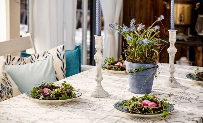 spring easter table diy decoration. Muscari composition, cissus striata on birch wreaths , 50436724.jpg, decor, easter, holiday, spring, table, background, festive, food, wooden, celebration, cutlery, decoration, dining, dinner, setting, traditional, design, eggs, linen, nobody, plate, tableware, vintage, egg, event, white, color, dinnerware, fork, nature, restaurant, seasonal, symbol, table setting, tradition, bunny, elegant, greeting, happy, rustic, stylish, interior, season, geometric, colorful, blue, veranda RECORD DATE NOT STATED