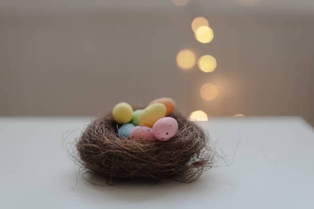 Colorful easter eggs in nest on pastel color background with space. High quality photo , 50486500.jpg, nest, egg, natural, birth, holiday, symbol, eggs, spring, small, celebration, easter, design, rustic, basket, decorative, decorated, tradition, april, yellow, seasonal, traditional, present, springtime, gift, colorful, season, easter eggs, vibrant, festive, composition, greeting, decor, catholic, concept, card, shabby, religion, art, backdrop, romantic, confectionery, chicken, eggs in a basket, aesthetic, banner, assortment, bird nest, eggshell, hen, multicolored RECORD DATE NOT STATED