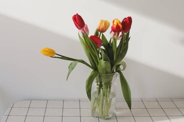 Colorful fresh tulips on a white background. Valentines Day, March 8, spring background , 50492348.jpg, background, springtime, valentine, vibrant, season, pink, tulip, beauty, petal, birthday, elegant, copy space, lovely, bunch, seasonal, red, leaf, bunch of flowers, cut flowers, white background, bouquet of tulips, holiday, mix, fresh, spring, bouquet, easter, floral, flower, gift, nature, isolated, bright, colorful, decoration, natural, interior, summer, close, blooming, love, composition, decor, elegance, greeting card, spring flowers, march 8, botanical, decorative, romantic RECORD DATE NOT STATED