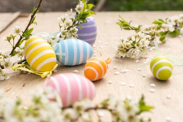 A Easter egg on a branch of a blooming cherry tree. Easter spring background. , 50577632.jpg, flower, background, design, floral, tree, food, border, nature, leaf, art, spring, blooming, egg, tradition, decorative, symbol, religion, celebration, holiday, paint, decoration, easter, tree branches, cherry blooming, branch, hanging, sakura, plum blossom, eggs, plant, decorated, white, boiled, bloom, painted, red, garden, religious, culture, beautiful, springtime, sanctified, cherry, green, decor, seasonal, traditional, season, bokeh, happy easter RECORD DATE NOT STATED