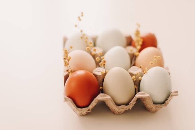 fresh chicken eggs of natural shades and colors in a recycled box on a white background. High quality photo , 50655766.jpg, cake, traditional, egg, branches, symbol, card, pastry, baked, natural, cooking, icing, decor, celebrate, easter eggs, holiday cake, love, willow branches, seasonal, copy space, concept, easter cake, dessert, orthodox, gourmet, decoration, colorful, christian, easter decor, table, sweet, easter decorations, multicolored, homemade, branch, fresh, willow, ribbon, rustic, holiday, decorative, delicious, easter, festive, spring, season, april, pink, blue, springtime, happy RECORD DATE NOT STATED