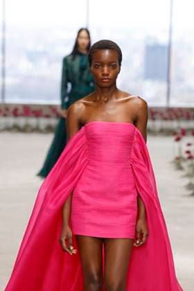 Carolina Herrera Ready to Wear Fall Winter 2025 26 - New York, February 2025 Carolina Herrera Ready to Wear Fall Winter 2025 26 - New York, February 2025, Credit:Zeppelin Avalon  Copyright: xZeppelinx xAvalonx 0961931173