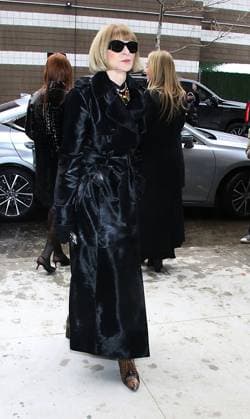 NEW YORK, NY- FEBRUARY 11: Anna Wintour seen arriving at Michael Kors 2025 Collection fashion show during the 2025 New York Fashion Week on February 11, 2025. Copyright: xRWx