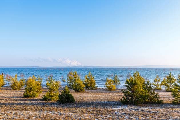 Cottbuser Ostssee DEU Deutschland Brandenburg Cottbus, 11.02.2025, Cottbuser Ostsee - durch Flutung des ehemaligen Braunkohletagebaus Cottbus-Nord entsteht der Cottbuser Ostsee.. Der zukuenftige Cottbuser Ostsee wird gegenwaertig durch das Lausitzer Bergbauunternehmen LEAG geflutet - bis Mitte der 2020er Jahre entsteht ein 1900 Hektar grosser See am Rand der Stadt Cottbus. Zum Jahresende 2024 war erstmalig der Endwasserstand des Sees erreicht. Vereinzelt stehen noch Baeume und Straeucher im Wasser, nach der frostigen Nacht sind diese mit Eis ueberzogen. *** Cottbuser Ostssee DEU Germany Brandenburg Cottbus, 11 02 2025, Cottbuser Ostsee is created by flooding the former Cottbus Nord opencast lignite mine The future Cottbuser Ostsee is curren AF_CB_Ostsee_2025_54560