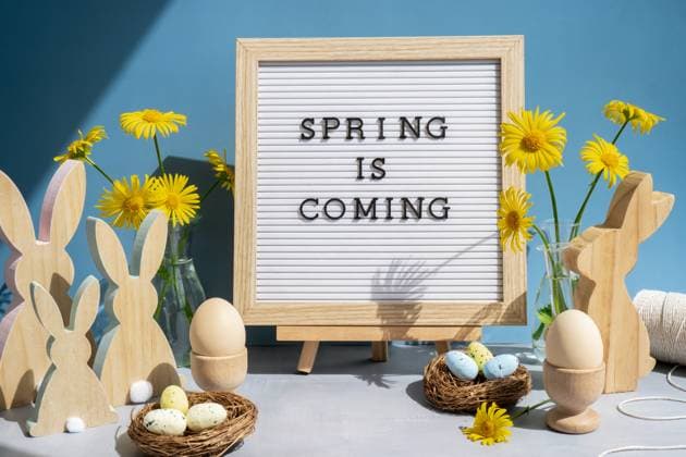 SPRING IS COMING text on letter board with bunny wooden figures and fresh flowers. Easter composition content still life. Christian symbols of spring SPRING IS COMING text on letter board with bunny wooden figures and fresh flowers. Easter composition content still life. Christian symbols of spring Copyright: xZoonar.com AnastasiiaxYanishevskax 22793787