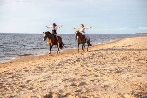 The two young female friends riding horses together on a sunny beach 20953015 ,model released, Symbolfoto RECORD DATE NOT STATED