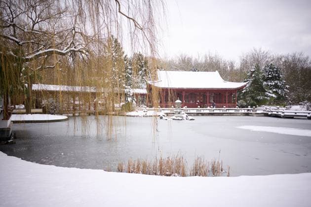 Berlin, Schneewetter Eindruck aus den verschneiten Gärten der Welt am 14.02.2025 in Berlin Marzahn. Im Bild der Chinesischer Garten. Berlin Berlin Deutschland *** Berlin, snowy weather impression from the snowy gardens of the world on 14 02 2025 in Berlin Marzahn In the picture the Chinese Garden Berlin Berlin Germany
