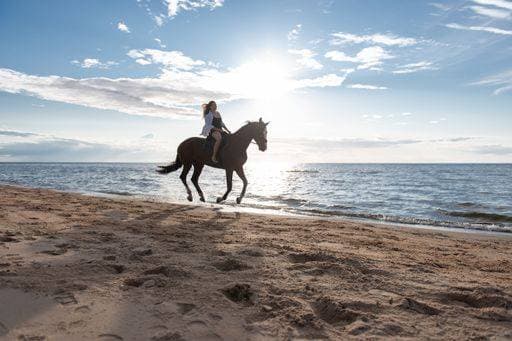 A beautiful young woman riding her horse through the water on a sunny beach 22396952 ,model released, Symbolfoto RECORD DATE NOT STATED