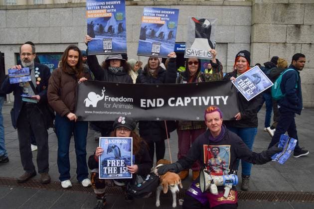 Entertainment Themen der Woche KW07 Entertainment Bilder des Tages February 15, 2025, London, England, UK: Activists gathered outside Sea Life aquarium in central London in protest against keeping penguins and other animals in captivity for entertainment. In addition to numerous marine animals living in tanks, the aquarium keeps penguins in a basement enclosure, and they reportedly never see the outdoors. London UK - ZUMAv130 20250215_zip_v130_019 Copyright: xVukxValcicx