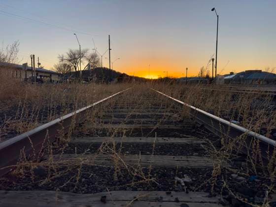 Abandoned railroad tracks with overgrown grass at sunset Williams, Arizona, United States R_RMYC250216-1649766-01