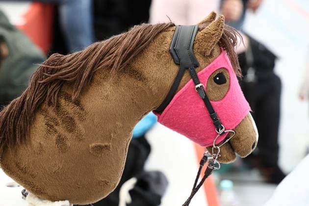 Hobby Horsing Turnier 16.02.2025, Buttstaedt, Sport- und Mehrzweckhalle, Hobby Horsing Turnier, in den Pruefungen Dressur, Dressur Kuer, Pferderennen, Zeitspringen, Reiter- und Teamwettbewerb wird angetreten im Bild: Steckenpferd mit rosa Kopfschutz *** Hobby Horsing Tournament 16 02 2025, Buttstaedt, sports and multi-purpose hall, Hobby Horsing Tournament, in the competitions dressage, dressage freestyle, horse racing, time jumping, rider and team competition will be competed in the picture hobby horse with pink head protection