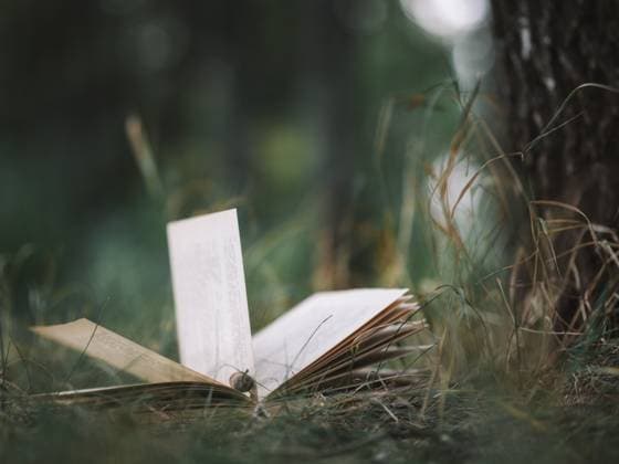 altes Buch liegt auf dem Gras im Park An old book is lying on the grass in the Park Copyright: xZoonar.com PavelxMarysx 22861629