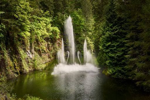 The magnificent Ross Fountain at Butchart Gardens, Victoria, BC. 24597004 RECORD DATE NOT STATED