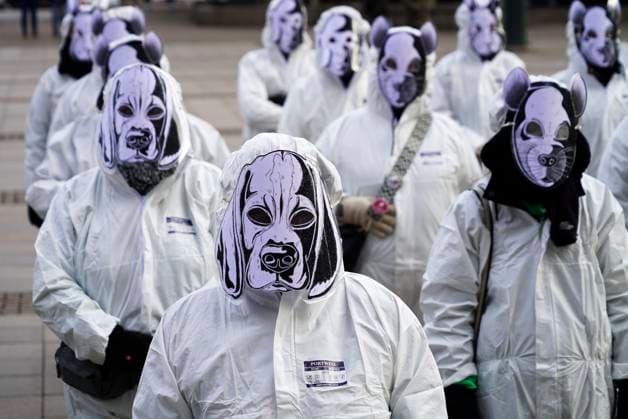 Mahnwache für den Tierschutz - Aktivisten in weißen Overalls sorgen für düstere Stimmung beim SPD Neujahrsempfang 05.02.2023 Hamburg - Rathausmarkt Symbol Hamburger Stadtmusikanten der getöteten Tiere im Tierversuch vor dem Aus - Tierschützer demonstrieren während des Neujahrsempfangs der SPD im Rathaus - Aktivisten marschieren symbolisch durch Innenhof des Rathauses HH Deutschland *** Vigil for the Animal welfare Activists in white Overalls Worries for grim Mood at SPD New Year reception 05 02 2023 Hamburg City Hall market symbol Hamburg Town Musicians the killed Animals at Animal experiment before the from Animal welfare activists demonstrate during of New Year reception the SPD at City Hall Activists march symbolic through Courtyard of