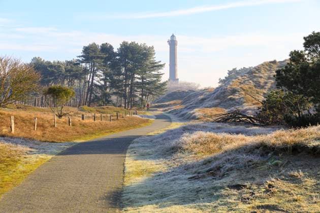 Weg durch die Dünenlandschaft mit Raureif und Nebel, Ausblick zum Leuchtturm von Norderney, Niedersachsen, Deutschland *** Path through the dune landscape with hoarfrost and fog, view to the lighthouse of Norderney, Lower Saxony, Germany