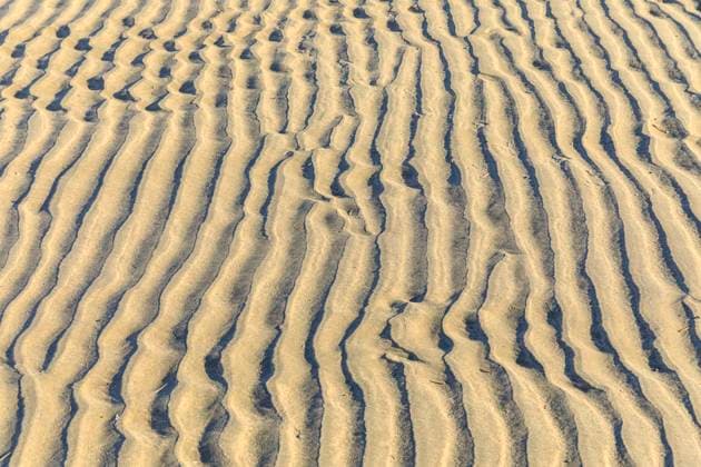 Muster im Sand, geformt durch Wind und Wasser, dazwischen eine einzelne Scheidenmuschel, Nordstrand von Norderney, Niedersachsen, Deutschland *** Pattern in the sand, formed by wind and water, in between a single razor clam, northern beach of Norderney, Lower Saxony, Germany
