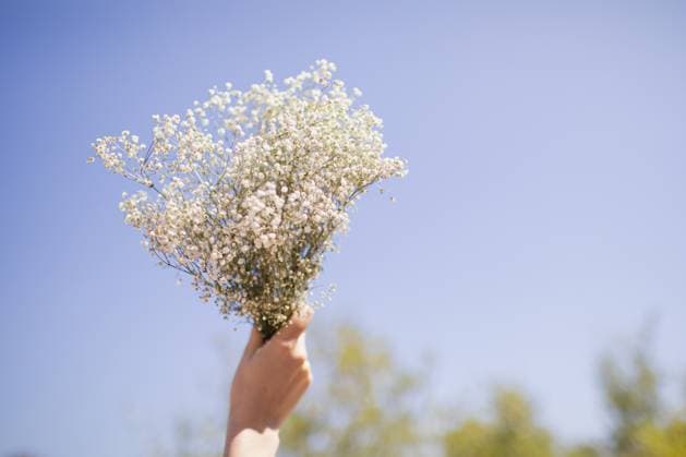 Creative Highlights Symbolfotos hand holding a bouquet of babies breath in the sky Long Beach, California, United States R_KFPD250217-1648438-01 ,model released, Symbolfoto